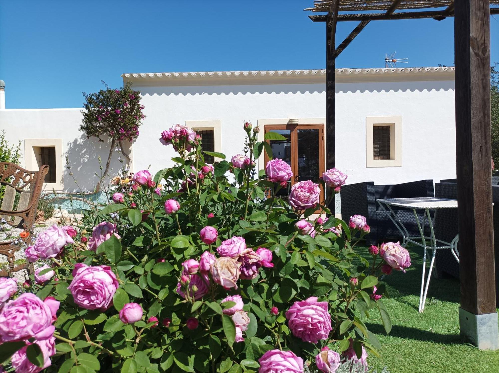 Can Pep Pardal Sant Miquel de Balansat Εξωτερικό φωτογραφία